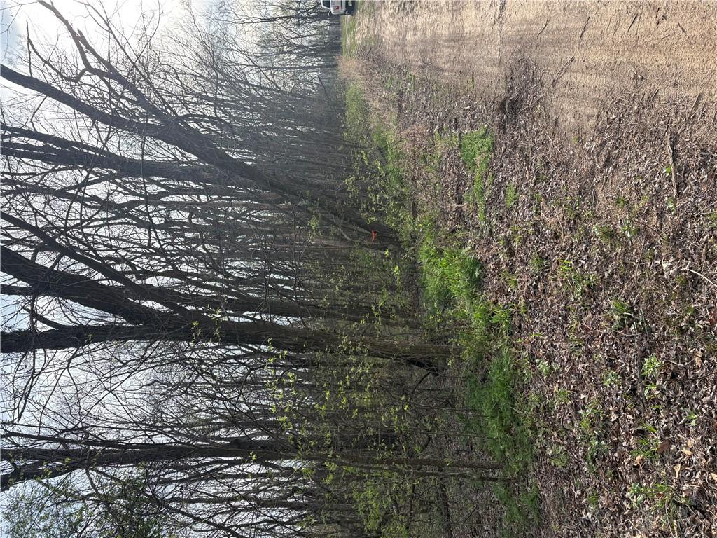 Image 4: View of nature