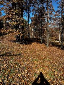 Lot 106 E Robin Road