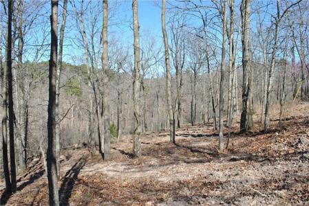 Lot 101 E Robin Road