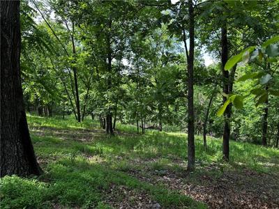 Lot 100 E Robin Road