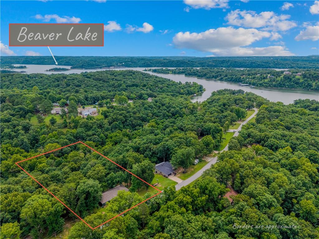 Image 2: Aerial landscape featuring extensive tree coverage