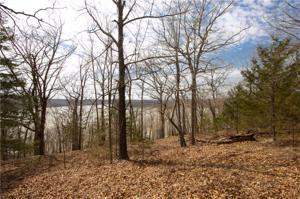 Lot 11 Burton  LN