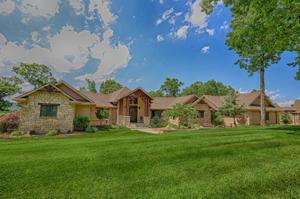 15672 Bumblebee  LN