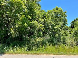 Posy Mountain Drive