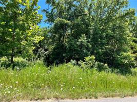 Posy Mountain Drive