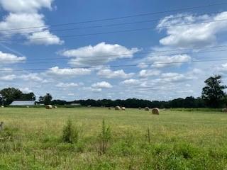 699 Sterlin Hurley Highway