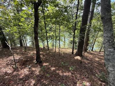 Lot 8 Lakeside Drive