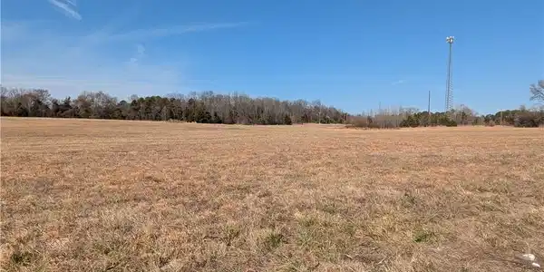 Image 4: View of local wilderness featuring rural landscape