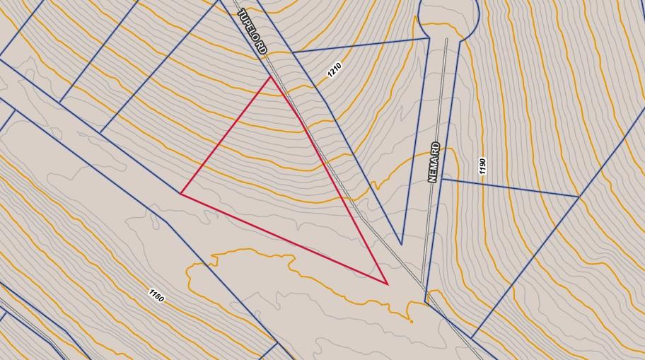 Image 2: Plat Map. Illustrating the property boundaries and