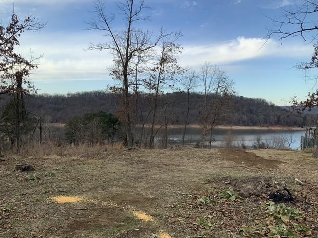 Image 2: build site with septic for a 1BR home