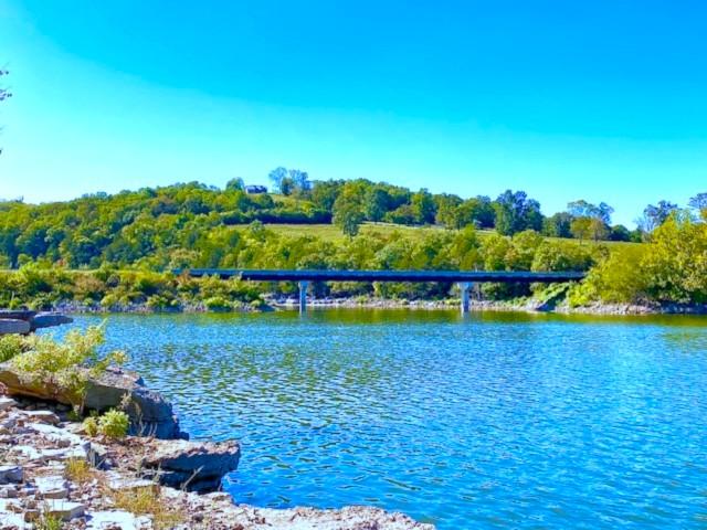 Image 3: Pristine, private shoreline of 10-acre Table Rock