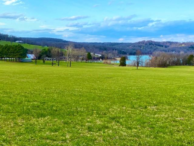Image 3: Panoramic Table Rock Lake vantage point offers on-