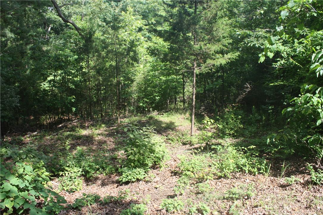 Image 1: Wooded lot featuring  varied vegetation