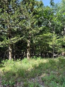 Lot 40 Pine Drive