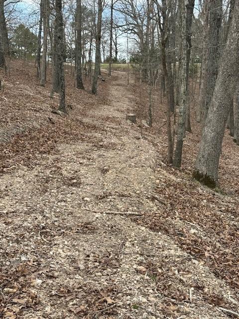 Image 3: interior trail on property