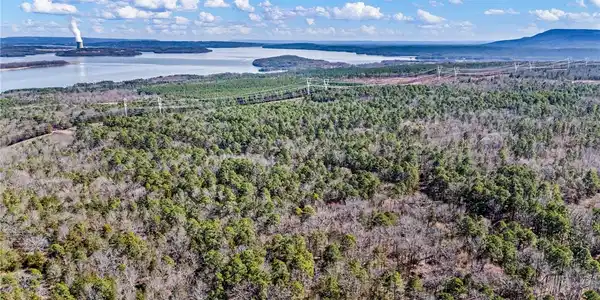 Image 2: Drone / aerial view of a forest
