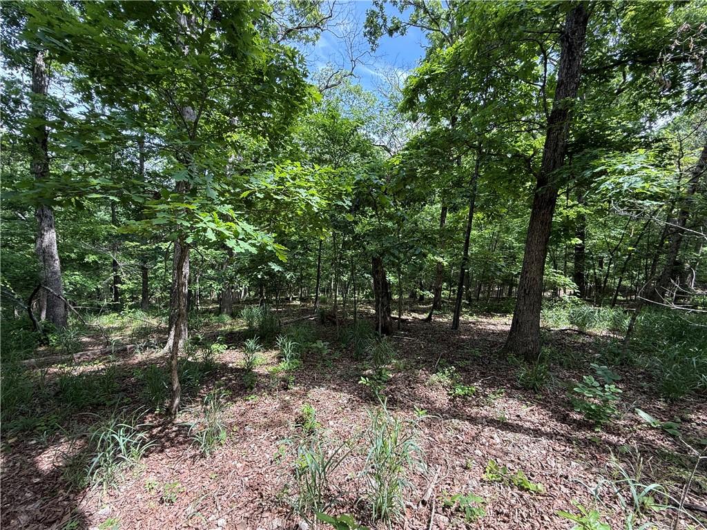 Image 1: Wooded lot featuring mature trees and natural grou