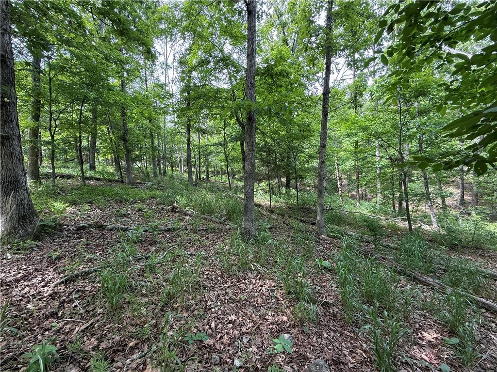 Image 2: Wooded terrain featuring mature trees and undergro
