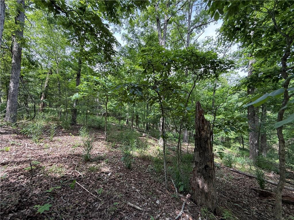 Image 3: Wooded lot featuring mature trees and natural grou