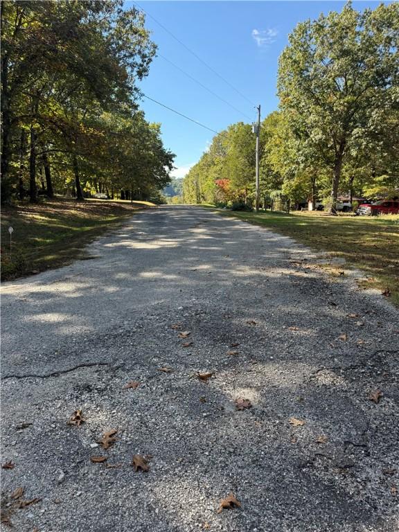 Image 3: Road to the