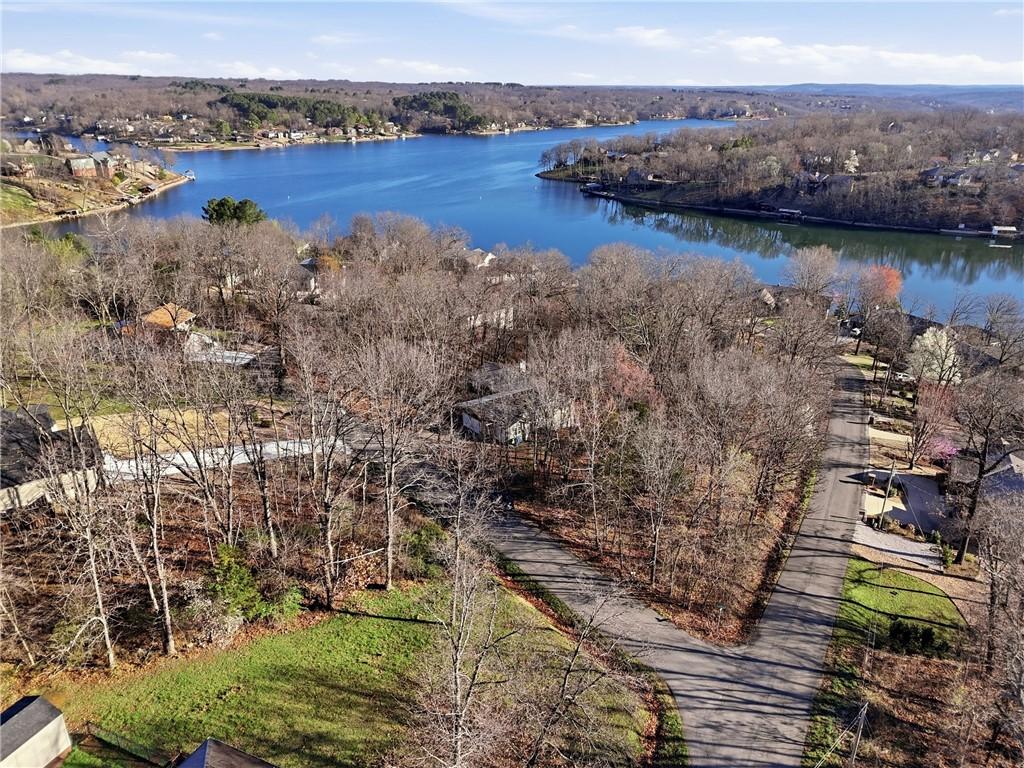 Image 3: Aerial View