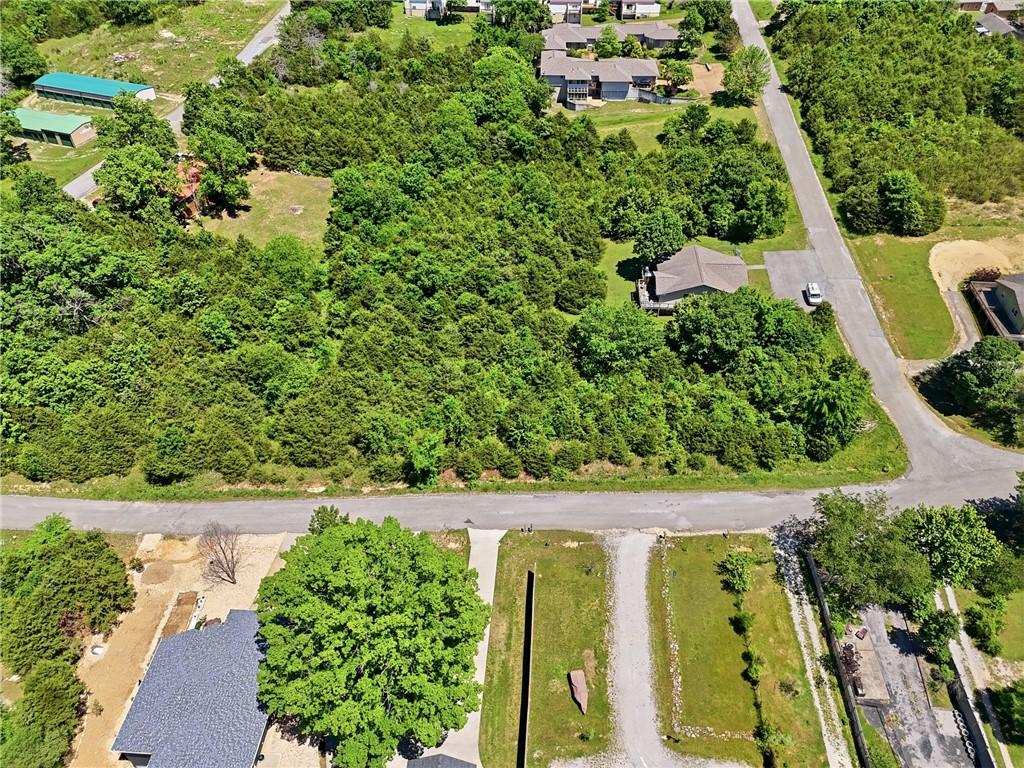 Image 4: Expansive tree-covered lot with direct road fronta