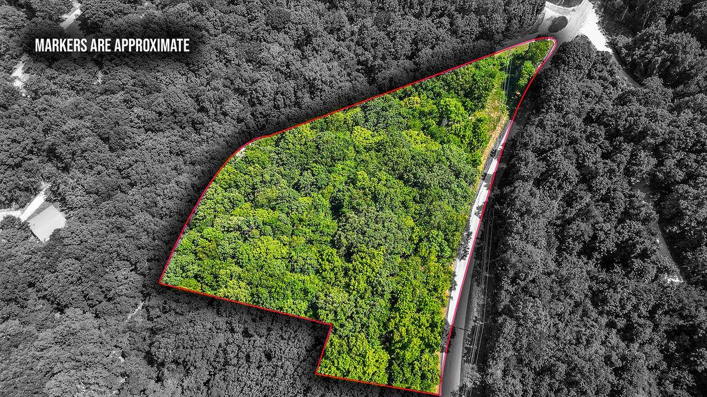 Image 2: Wooded parcel featuring a red-lined boundary, abun