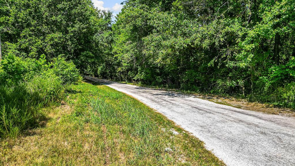 Image 4: Gravel drive bordered by natural landscaping and m