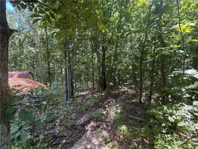 Lot 59 Posy Mountain Drive