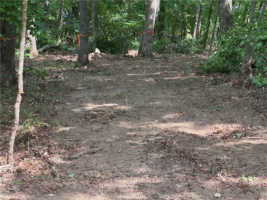 Image 2: New Pathway to Dock