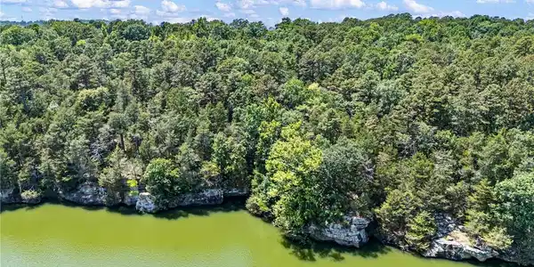 Image 3: Bluff line along Piney Creek