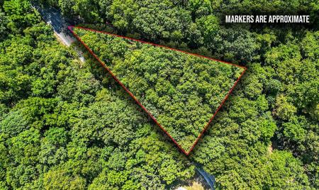 .64 acres War Eagle Blacktop Road