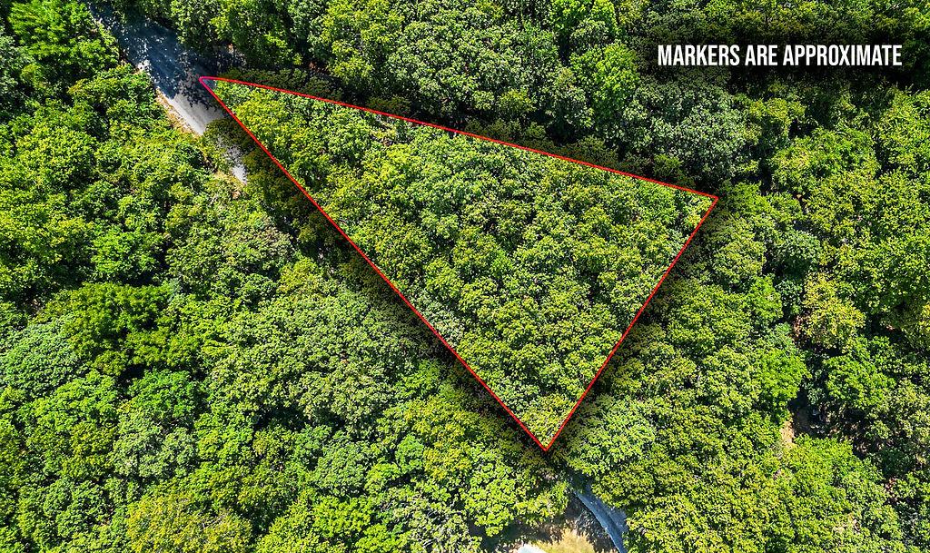 Image 1: Wooded parcel featuring a red-lined boundary and r