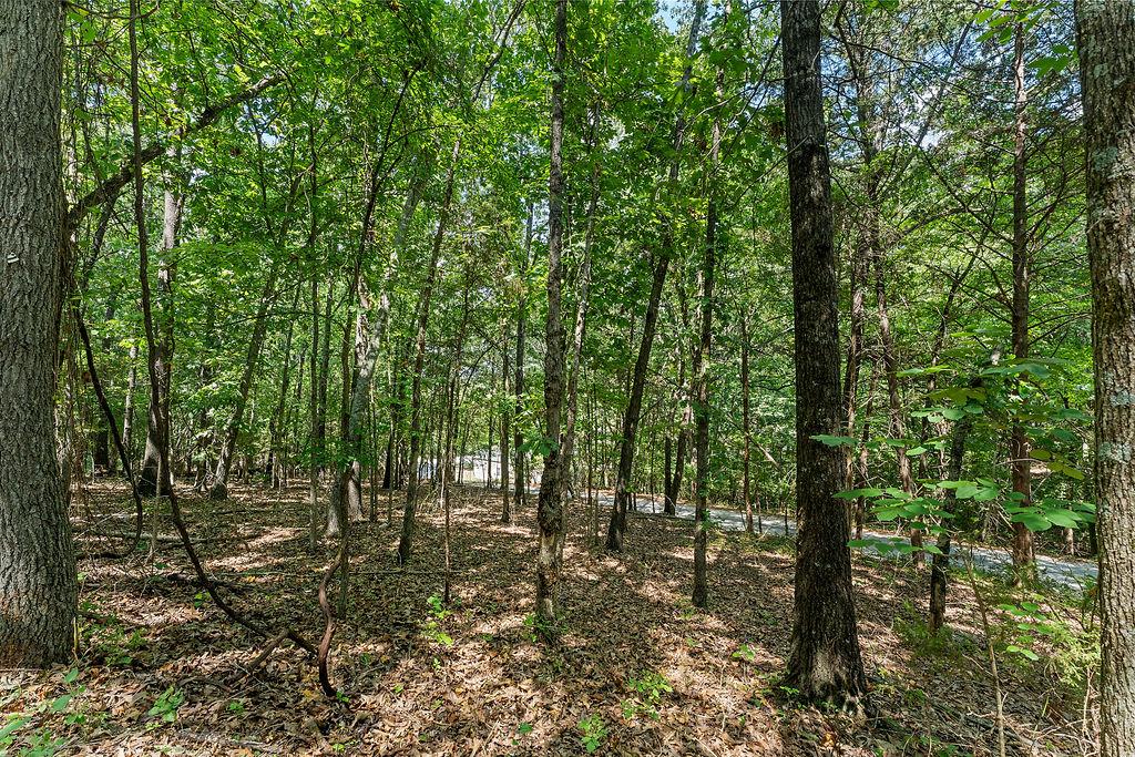 Image 3: Wooded lot featuring mature trees and a natural gr