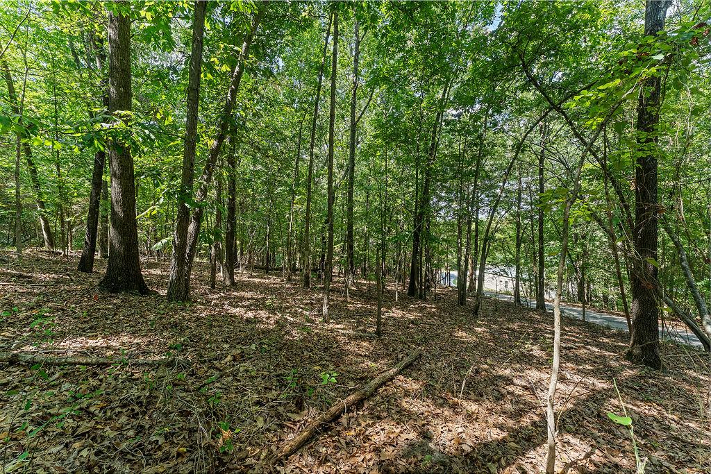 Image 4: Wooded parcel featuring mature trees, natural grou