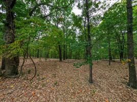 Lot 4 Hinchingbrooke Lane