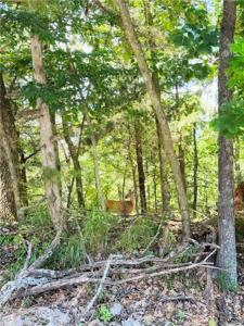 Lot 94 Oak Leaf Circle