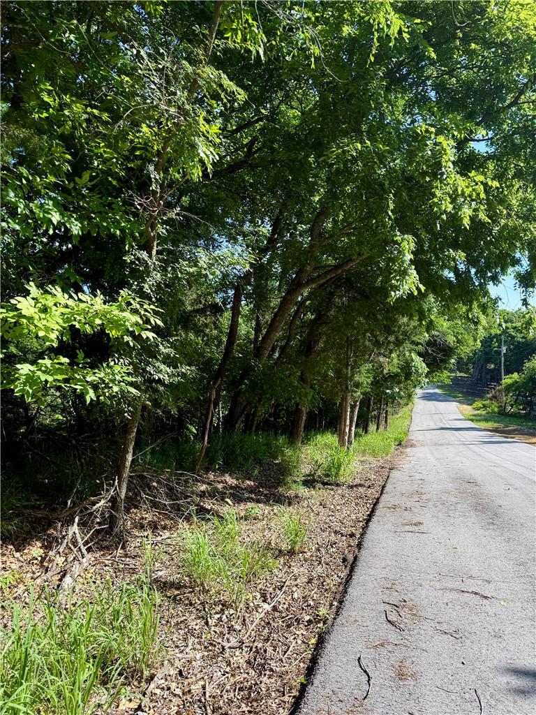 Image 2: Paved road access to the lot on Oak Leaf Circle.