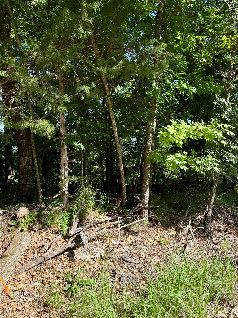 Image 3: Wooded lot featuring mature trees.