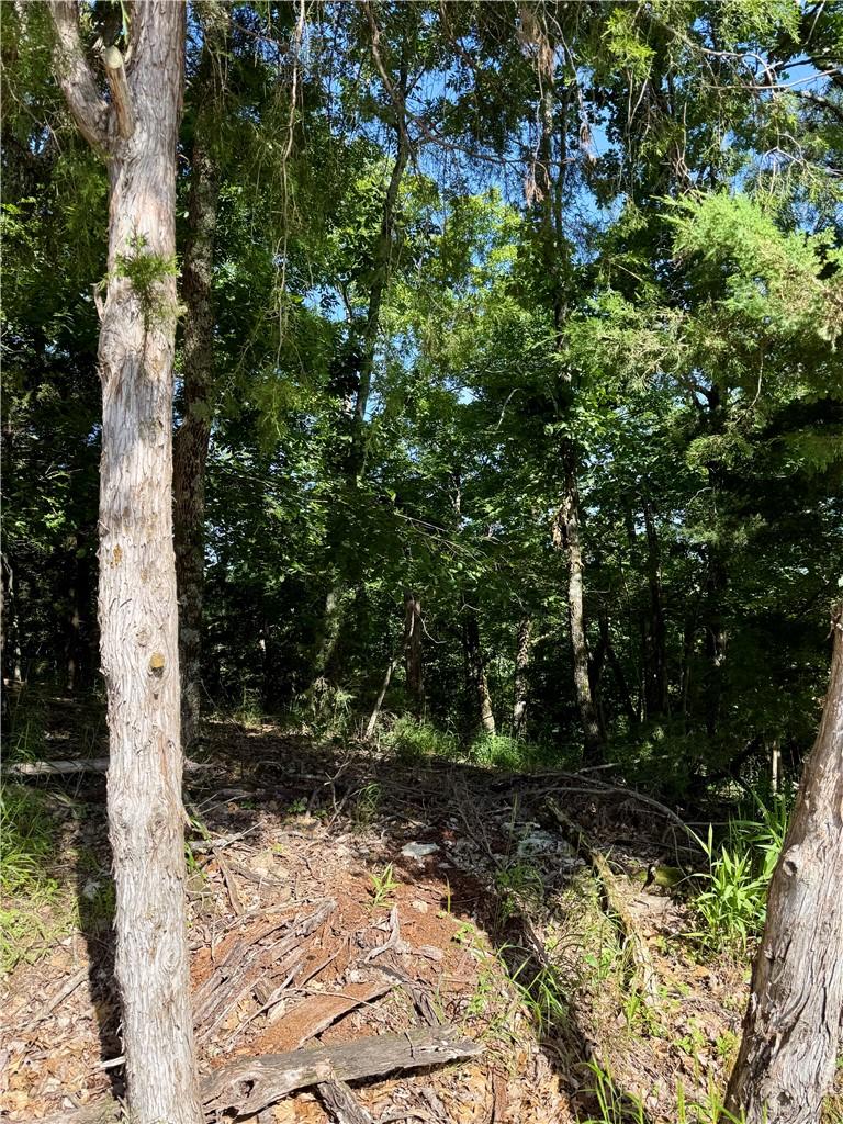 Image 4: Wooded lot.
