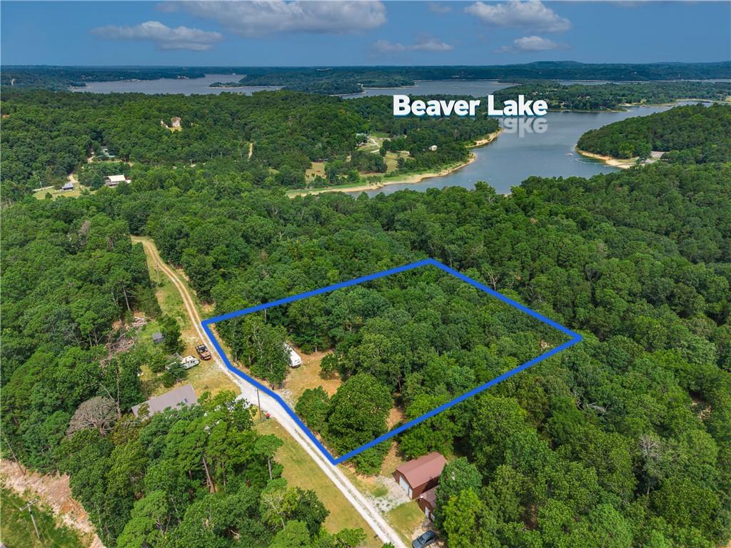 Image 1: Expansive wooded lot outlined in blue, featuring m
