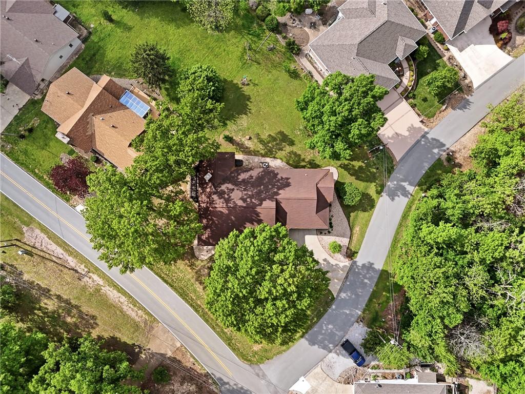 Image 3: Surrounded by shade trees