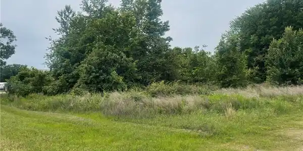 Image 3: Expansive parcel featuring mature trees, diverse f