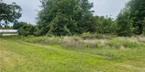 Image 4: Expansive natural landscape with varied foliage, f
