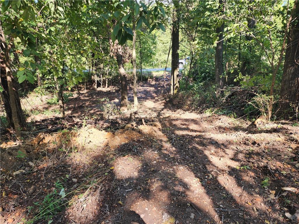 Image 4: Looking northeast back toward Perth Dr