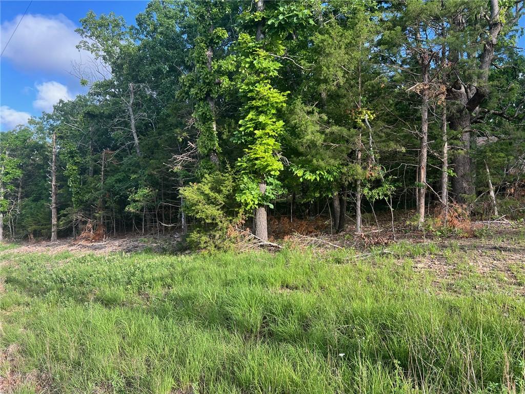 Image 1: Heavily wooded lot featuring mature trees and natu