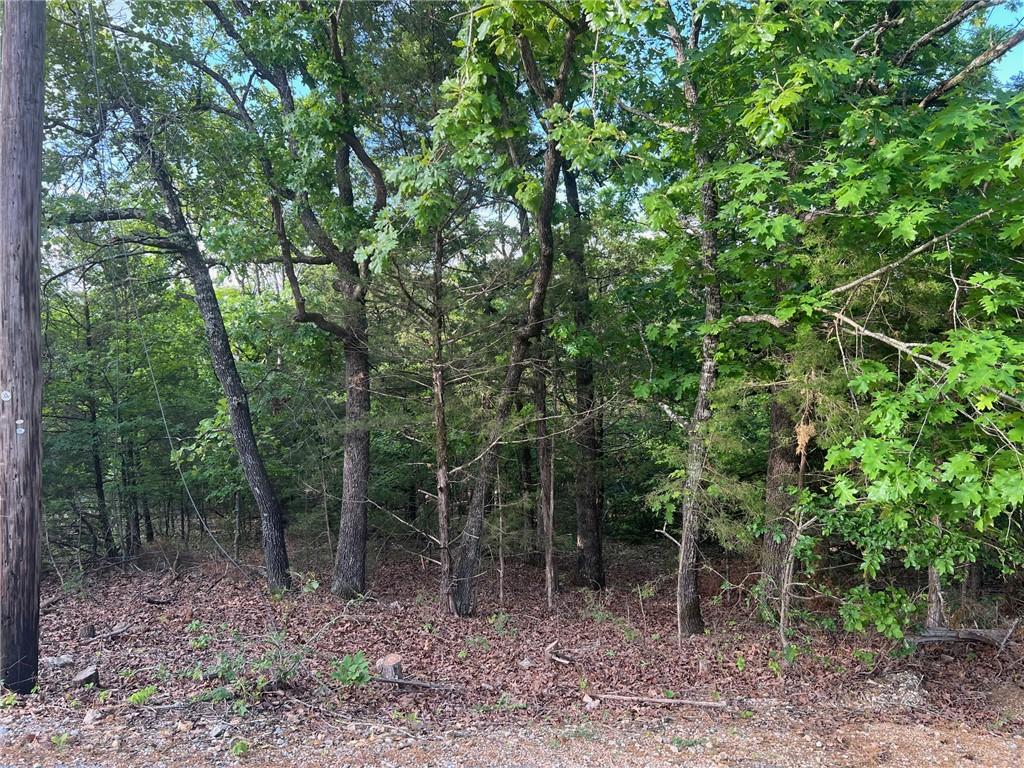Image 2: Wooded lot featuring mature deciduous and evergree