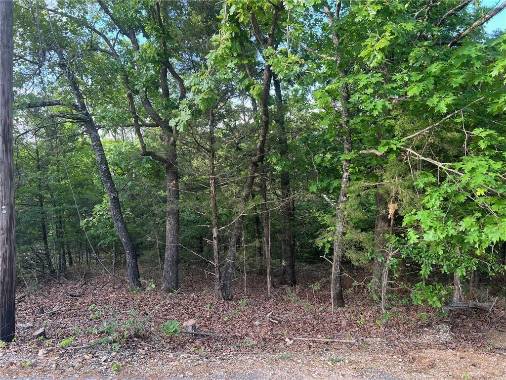 Image 3: Wooded lot featuring mature trees, a natural groun