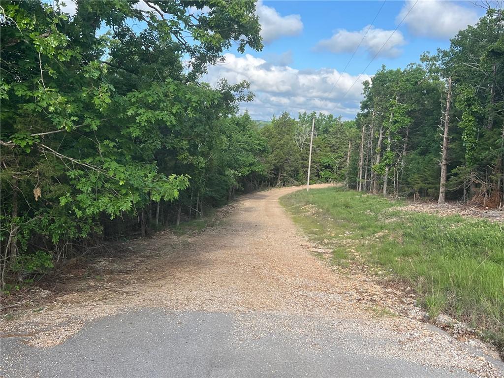 Image 4: Gravel road extending into a wooded landscape, bor