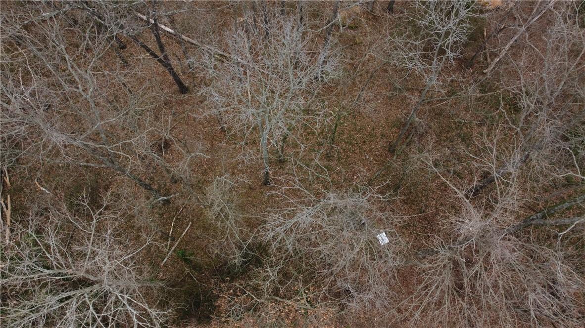 Image 3: Top down drone shot